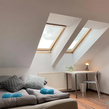 Homestay Circus